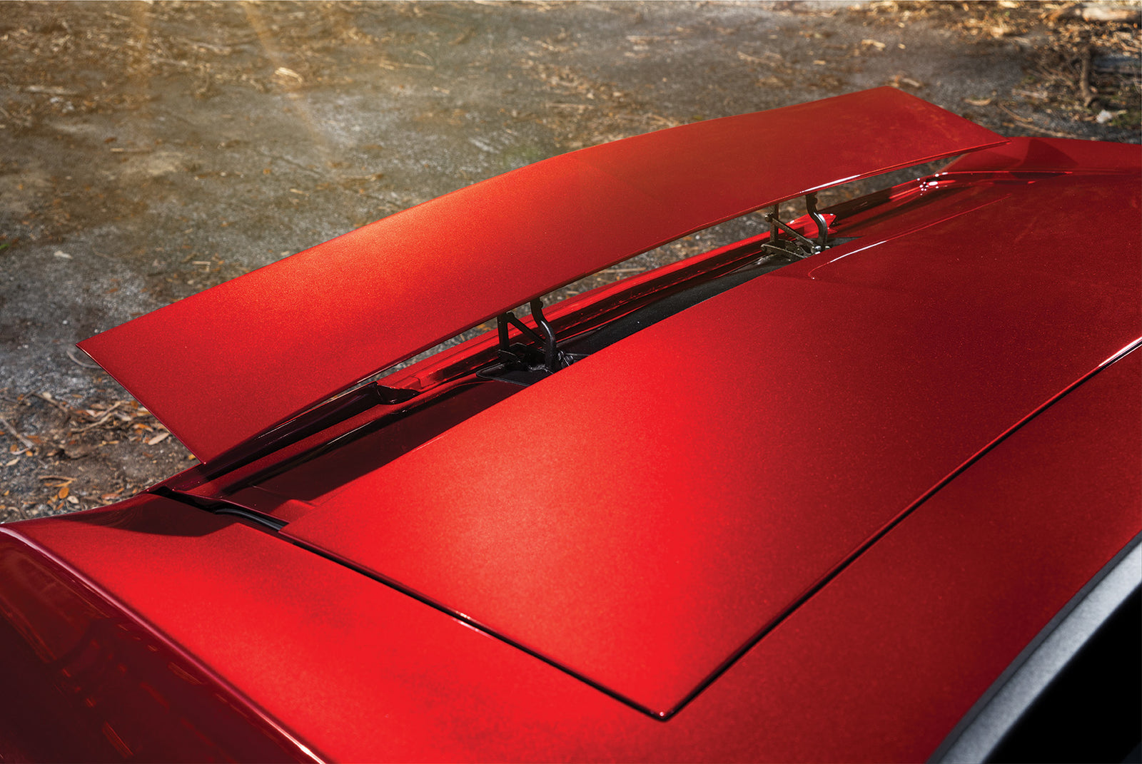 Destroyer - 1970 Chevrolet Chevelle